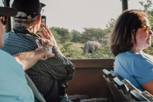 Safari for Six