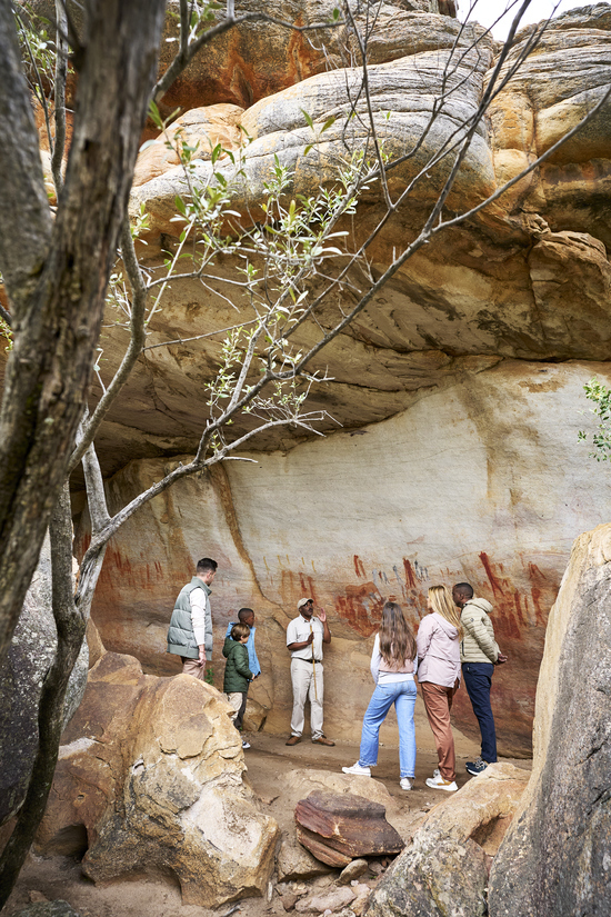Bushmans Kloof Rock Art