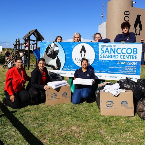 Paxton Hotel supports SANCCOB by providing much needed towels for the penguins