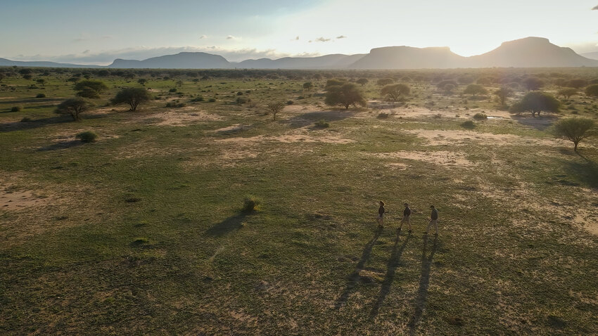 Marataba Luxury Lodges Bush Walk