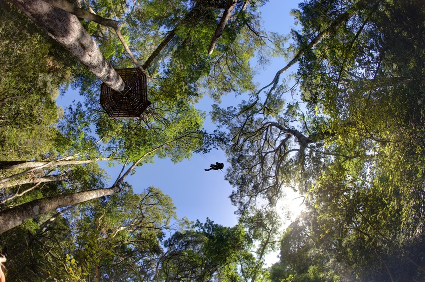 Tsitsikamma Canopy Tours