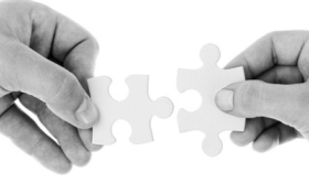 Strategic partnership programme