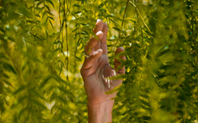 WTM Responsible Tourism Awards